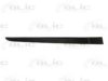 RENAU 7701476426 Trim/Protective Strip, door